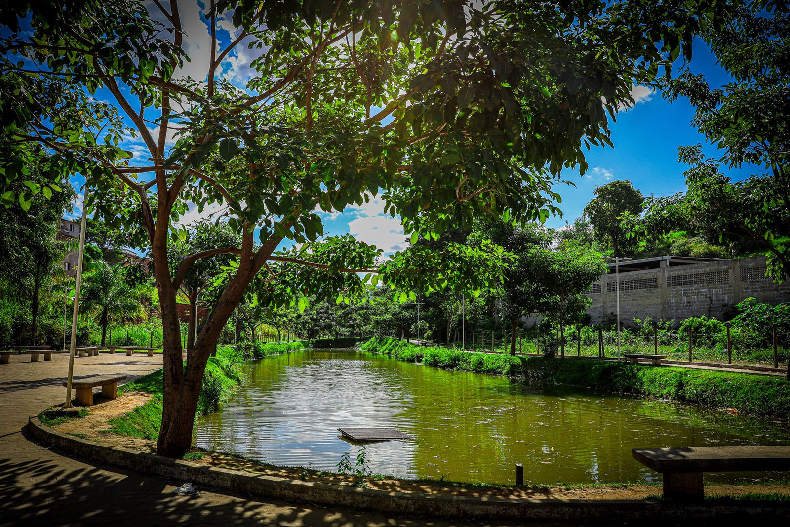 Parque Linear de São Conrado